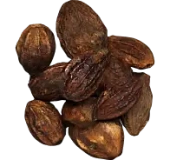 Cocoa beans